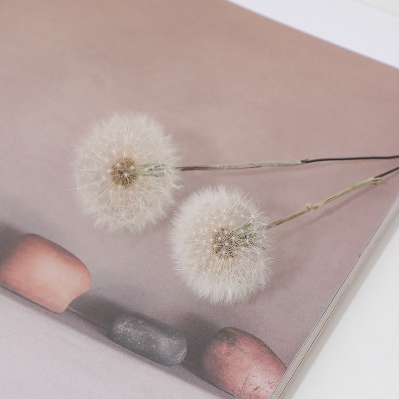 Kit de Manualidades con Resina - Resin Crafts reseña y precio
